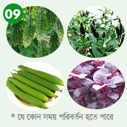 সবজির-বীজ​