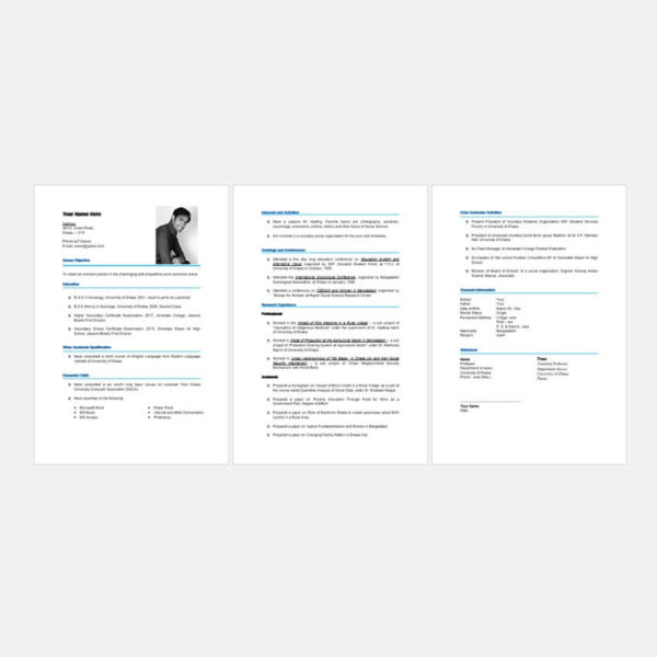 cv-format-word-editable-two-pages