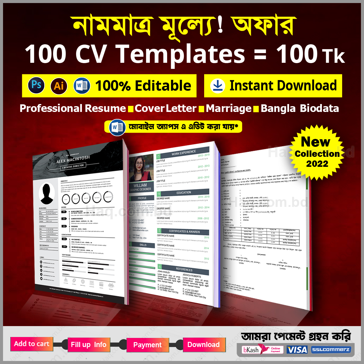 100 CV Format editable in MS word PDF Curriculum Vitae বাংলা সিভি জীবন Sns-Brigh10